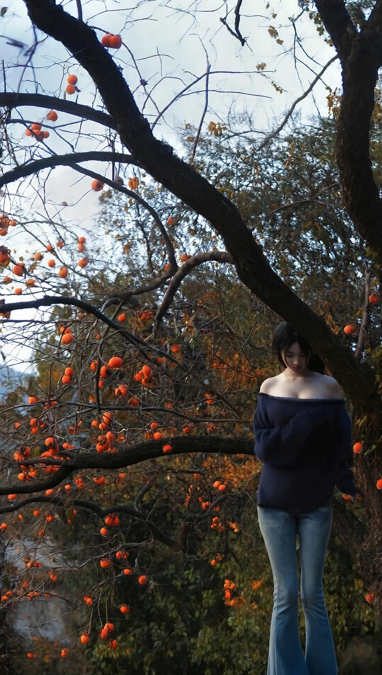 柿红摇秋信，风语半卷温柔