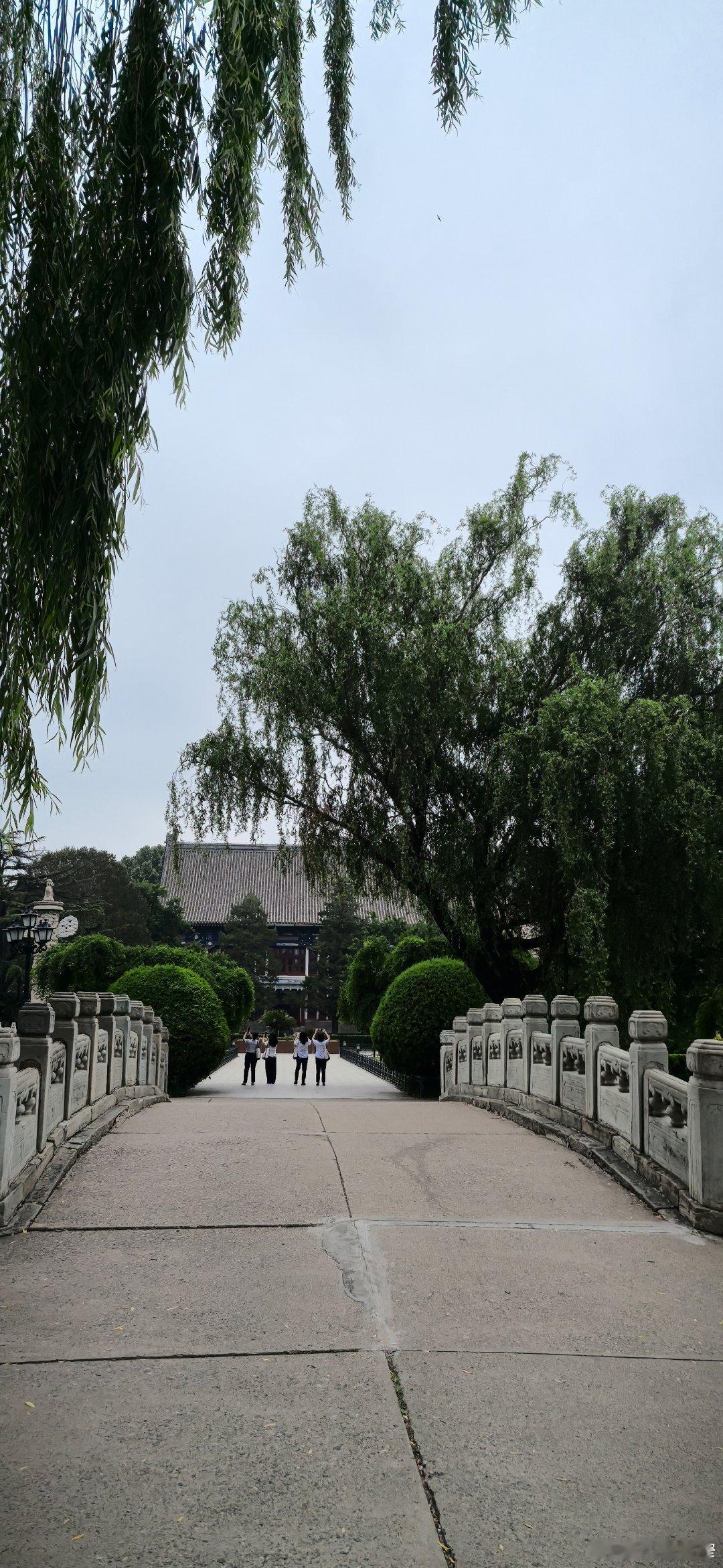 宽窄观察北大的空气是什么味道？ 如果非要形容：像雨后旧书店里翻书的味道——清、静