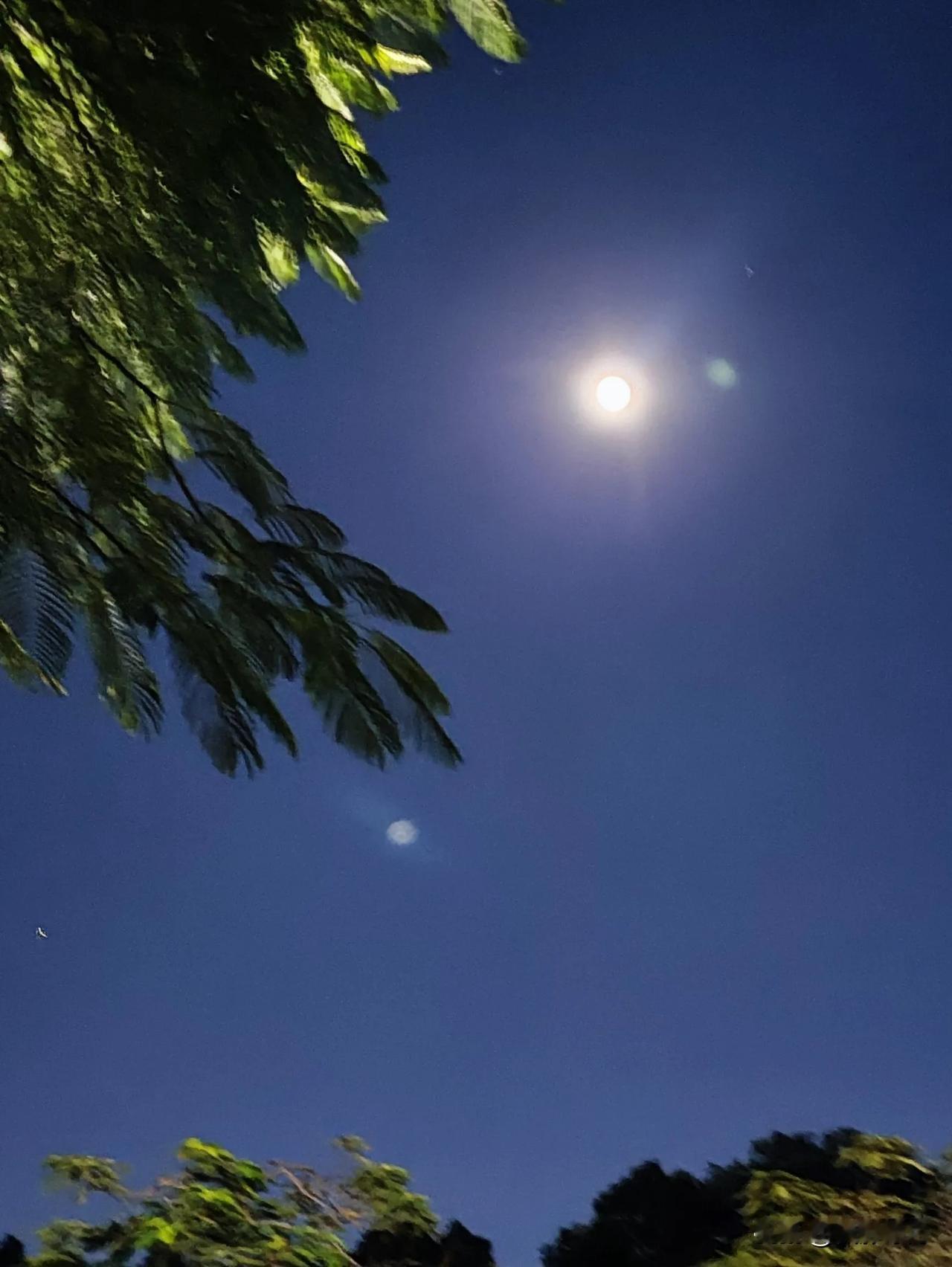 飞花一梦红尘落，
落叶归根百年回。