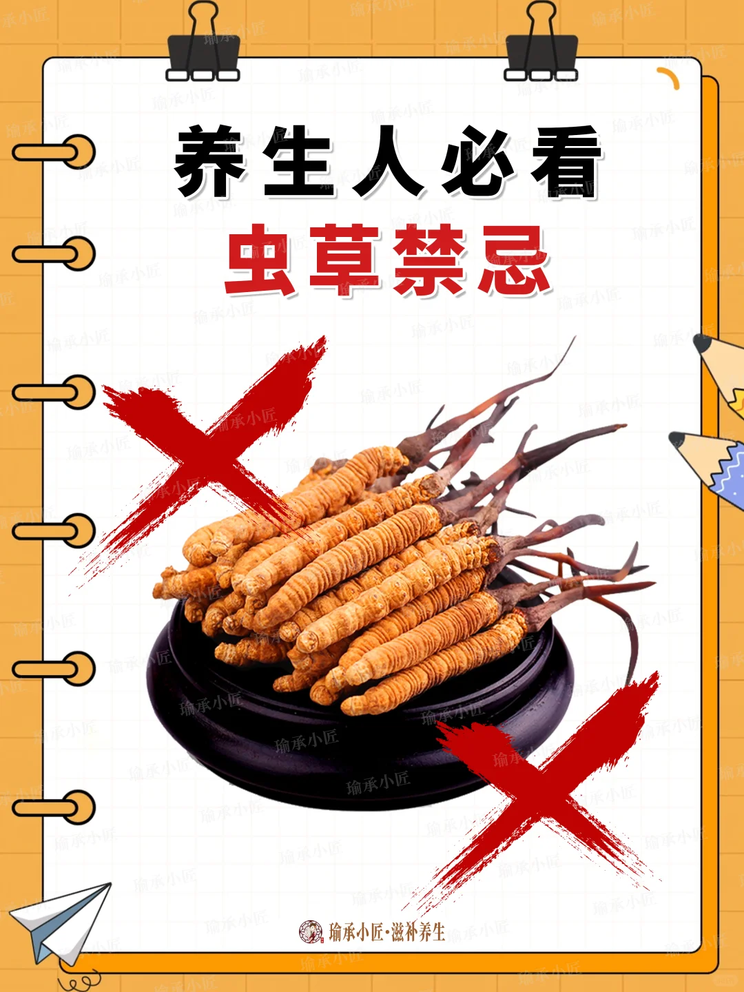 虫草可不能乱吃，养生必看