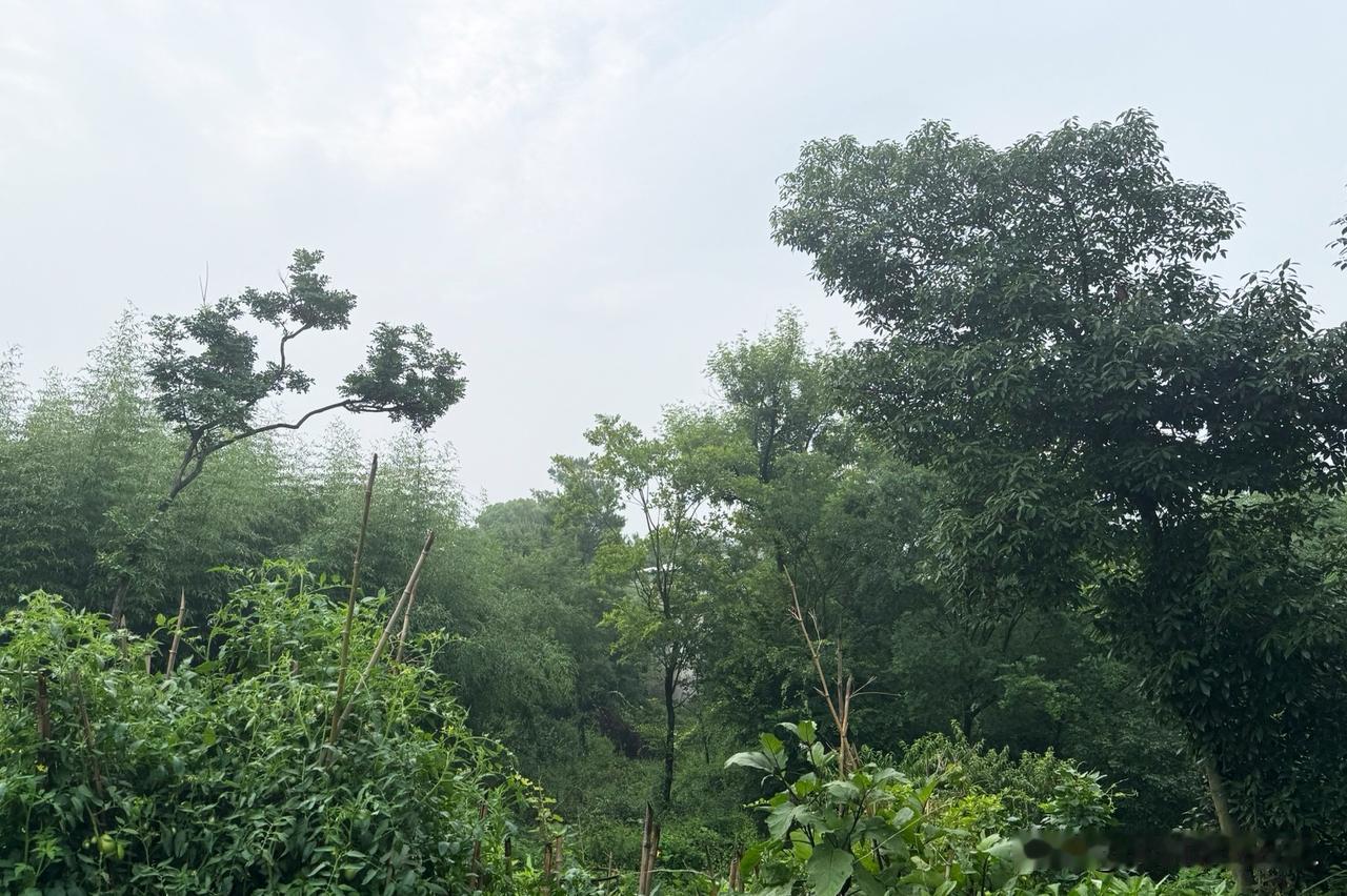 富士智能和图特股份提交注册申请

珠海富士智能股份有限公司（简称：富士智能）和广