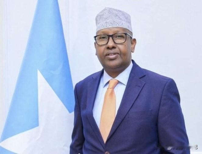 索马里防长艾哈迈德·穆阿利姆·菲基表示，以色列计划将大量巴勒斯坦人迁移至索马里兰