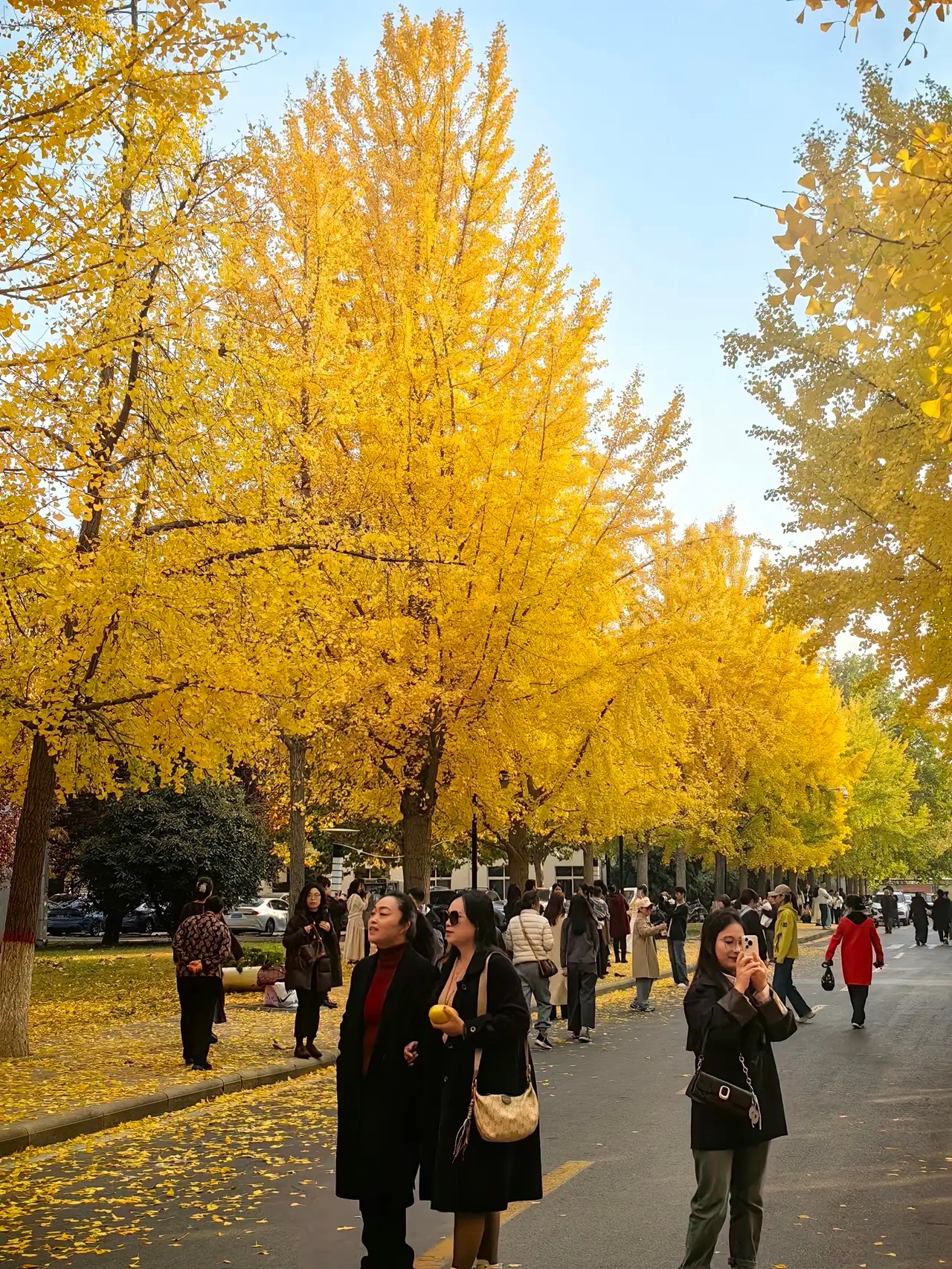 股民注意，如果你没时间看盘，又准备持久战，接下来这两大方向将是最大的机会！最近A