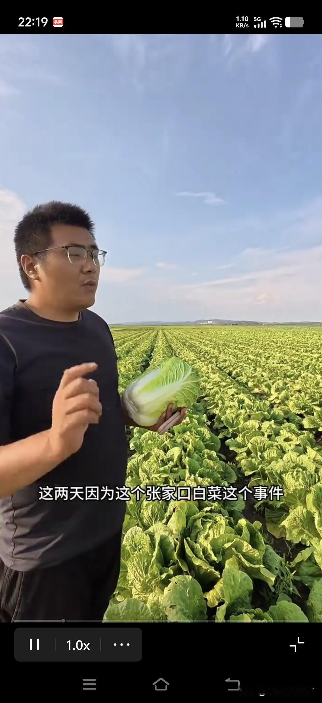 今天突然刷到河北某地白菜估计要烂在地里的视频，感觉很蹊跷，我们这白菜又贵又不好买