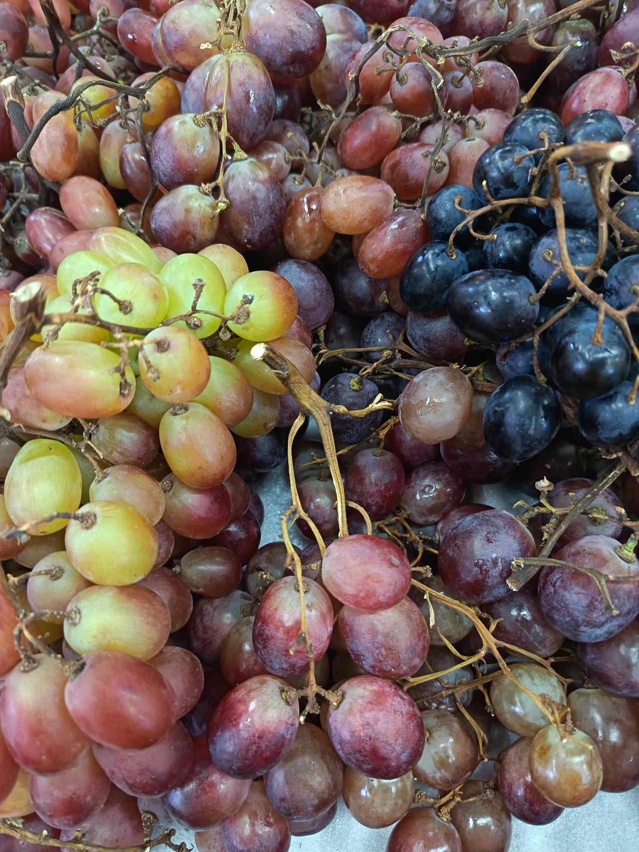 果子圆滚滚、椭圆椭圆的都有，颗颗都鼓囊囊的，看着就汁水足。枝桠还带着点韧性，不像