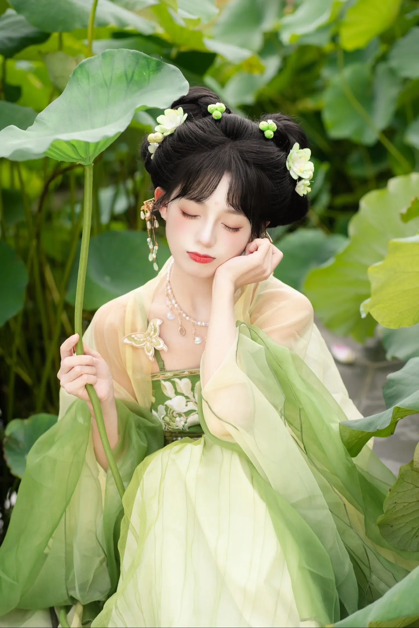 夏日炎炎 好运莲莲。