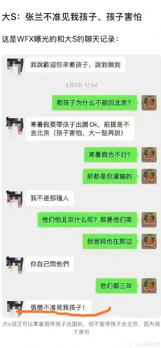 大S不同意张兰见孩子  大S之前不让张兰见孩子 wxf和大s之前的聊天记录，大s