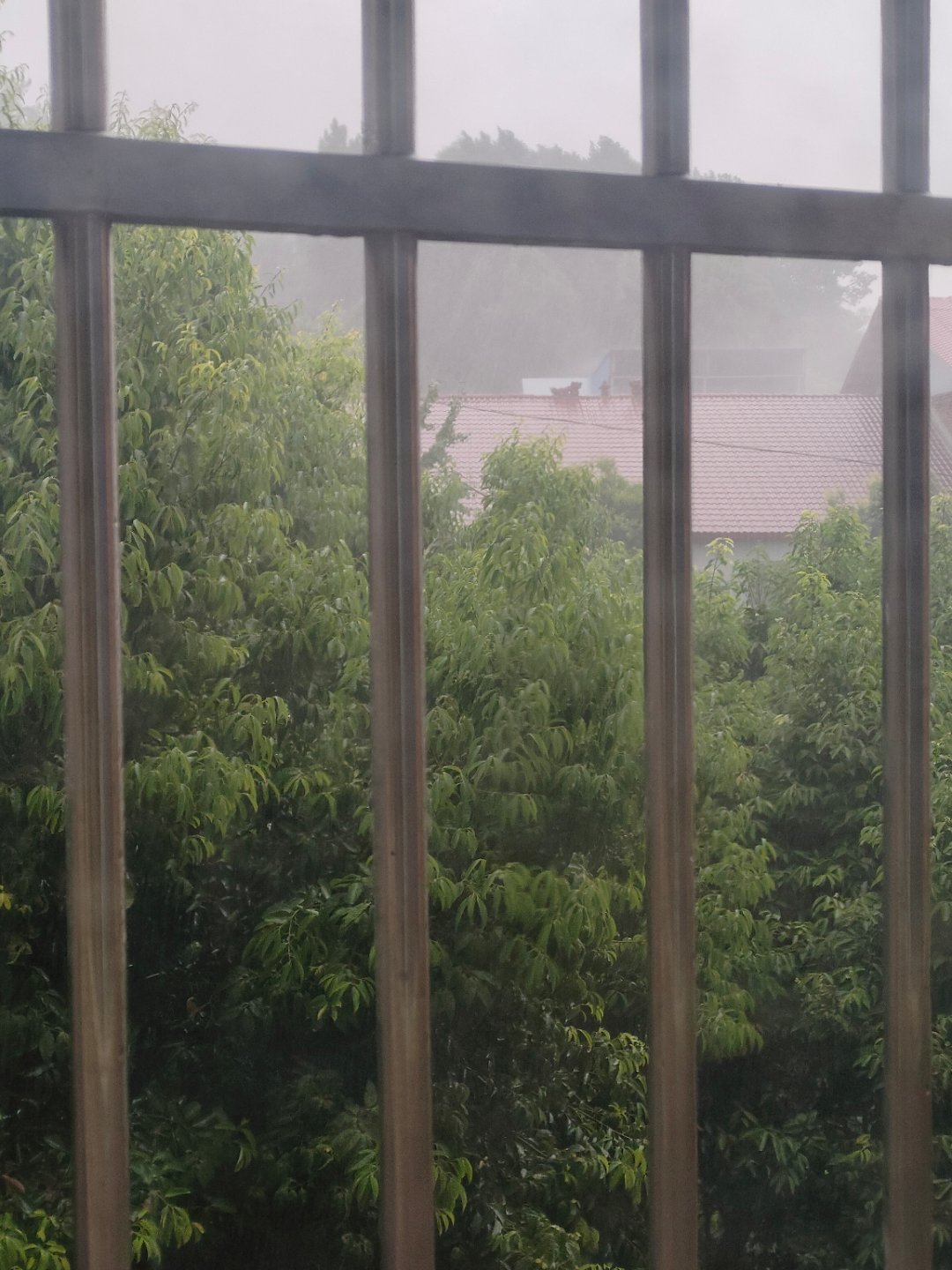 生活手记 刚刚还是大太阳，现在狂风暴雨 