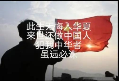 “生是中国人，死是中国魂。”

“此生无悔入华夏，来世还做中国人。”

“抗美援