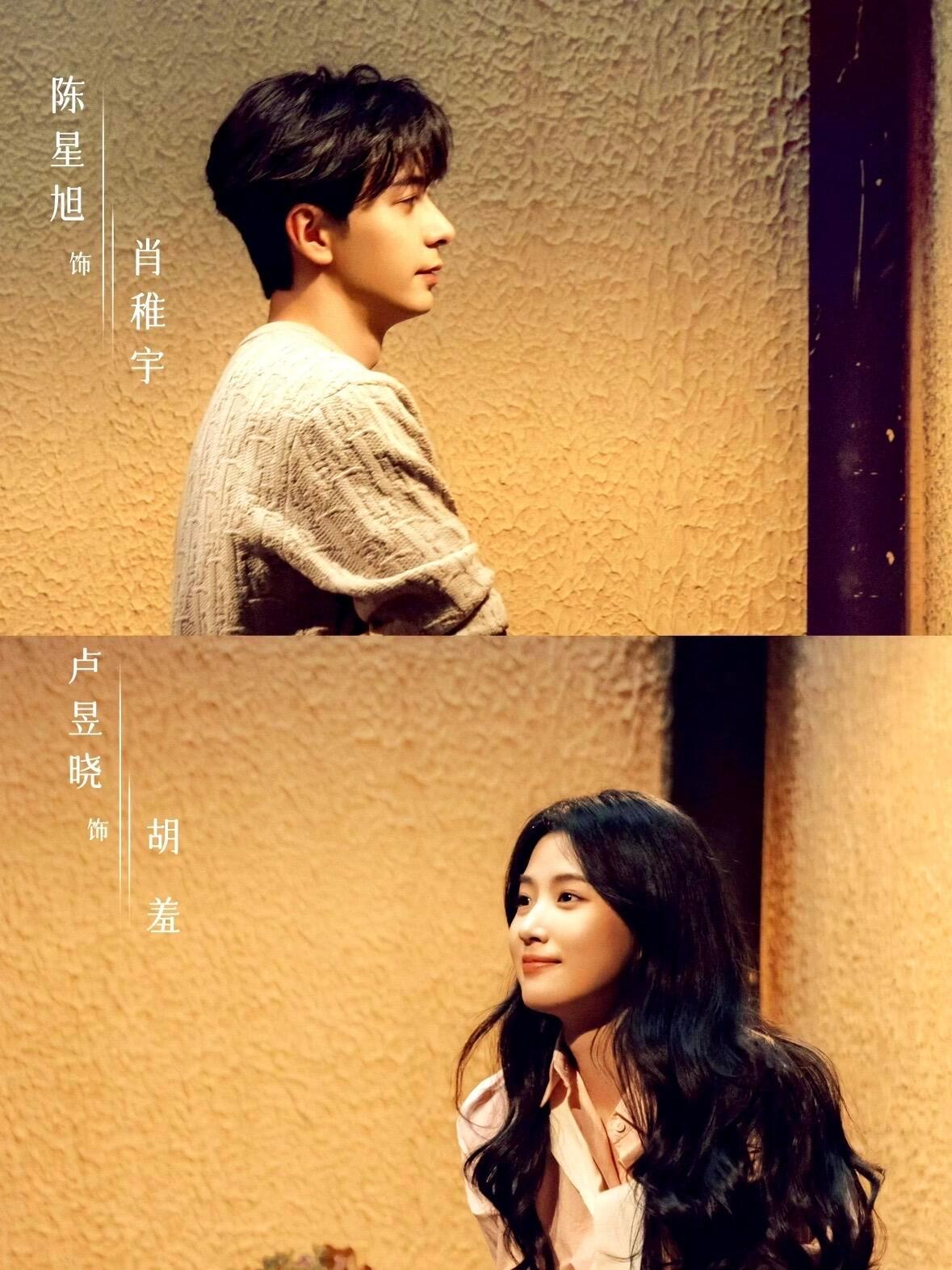 妈耶❗️终于来了❗️新剧鲨疯了❗️陈星旭✖️卢昱晓，猫的树美学镜头➕剧本鲨的新颖