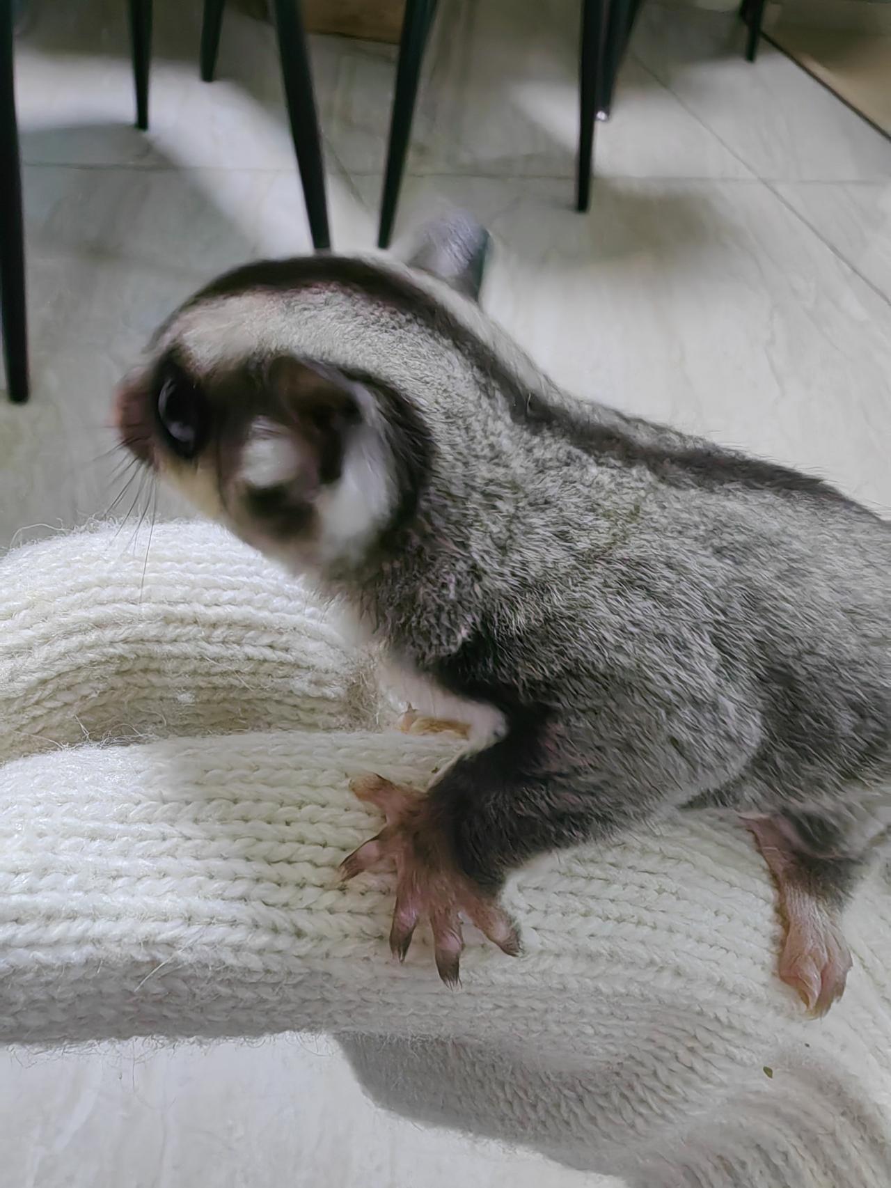 说说这两年踩的大坑，
   第一个，是要账两年了款收不回来的，教训是以后不熟悉的