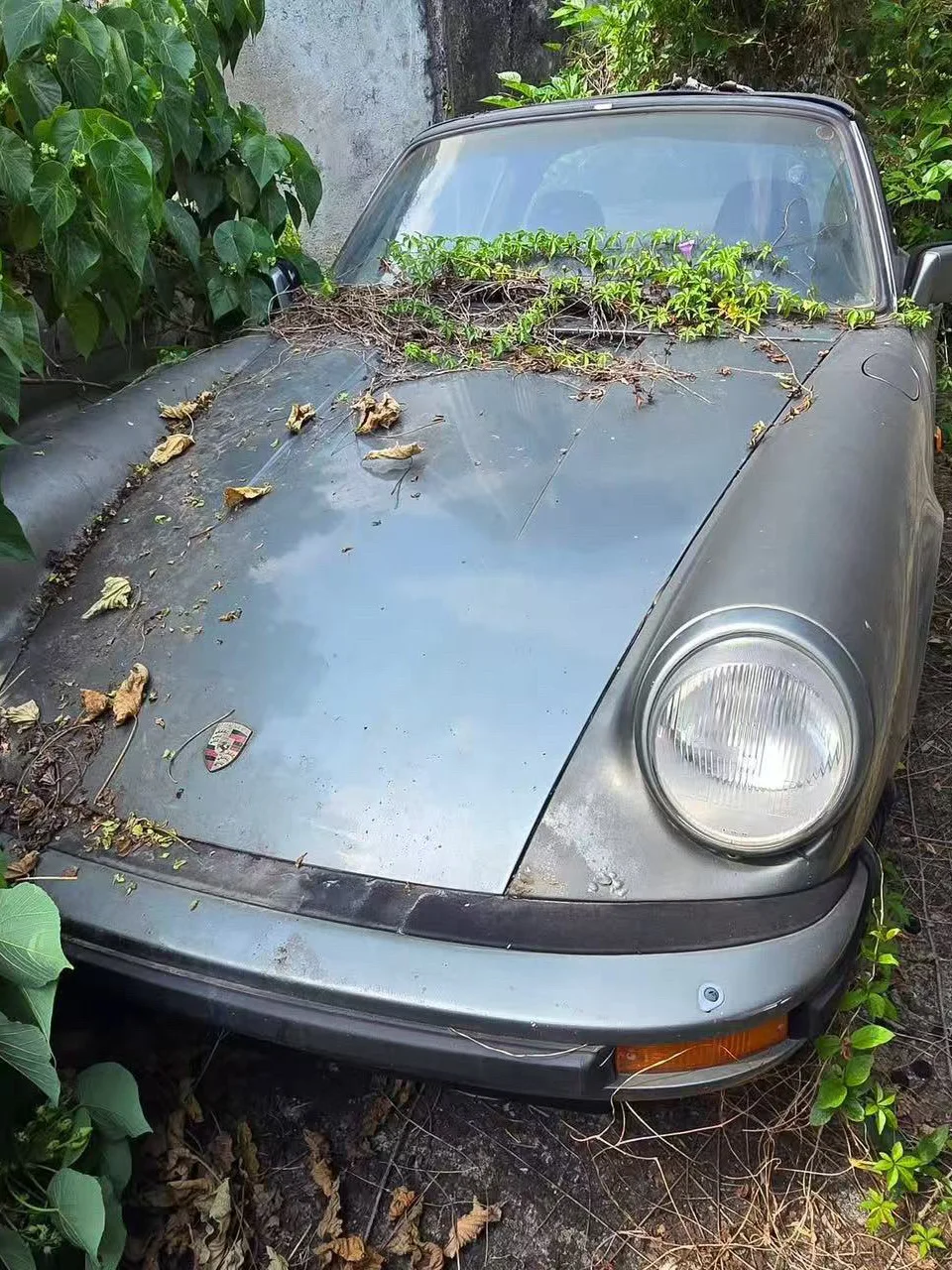 香港半遗弃汽车（二）