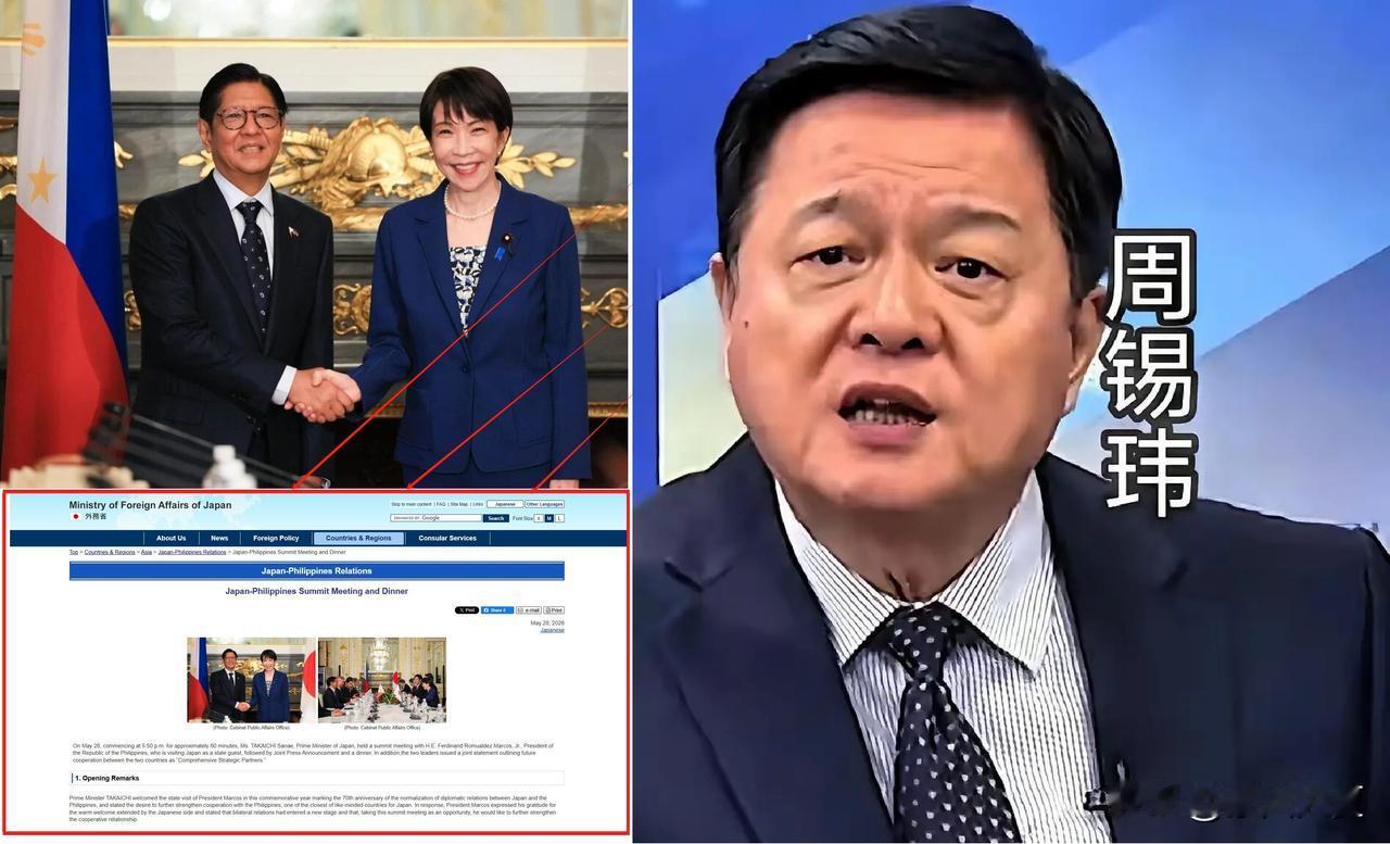 说真的，周锡玮这话太解气了！一针见血说到点子上了：日本和菲律宾现在就是跳梁小丑，
