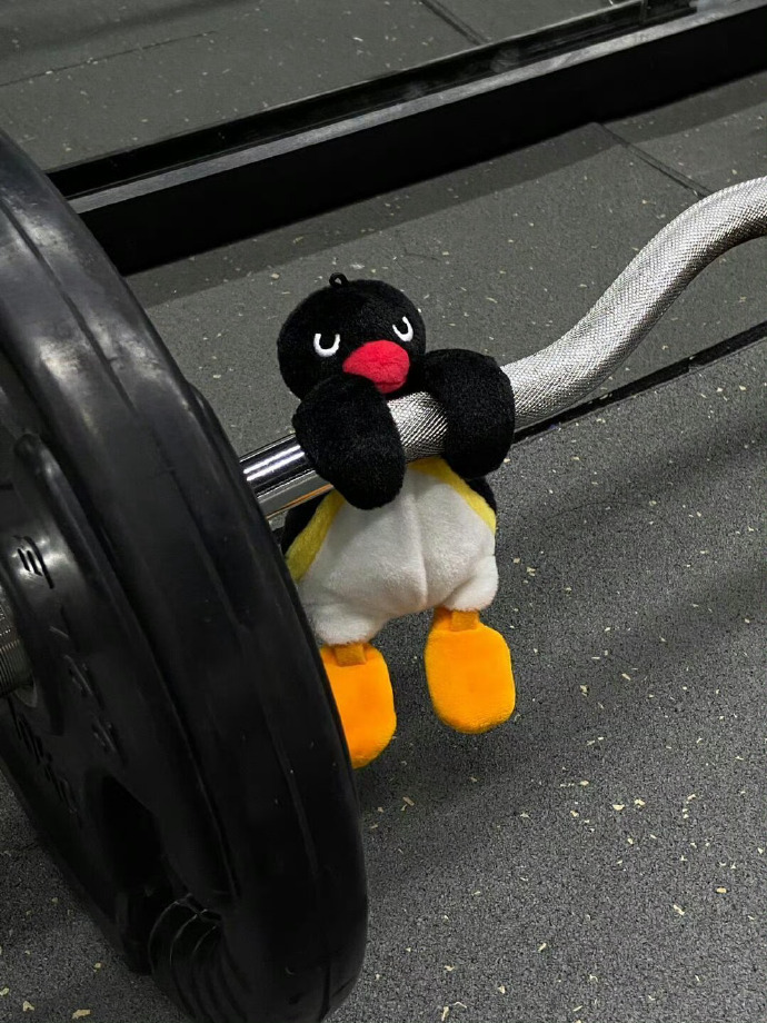 健身房里最可爱的健身搭子 