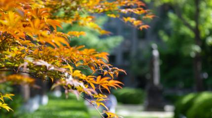 今天咱们不聊那些高不可攀的名校，就实实在在聊一所性价比超高的公办专科——黑龙江幼