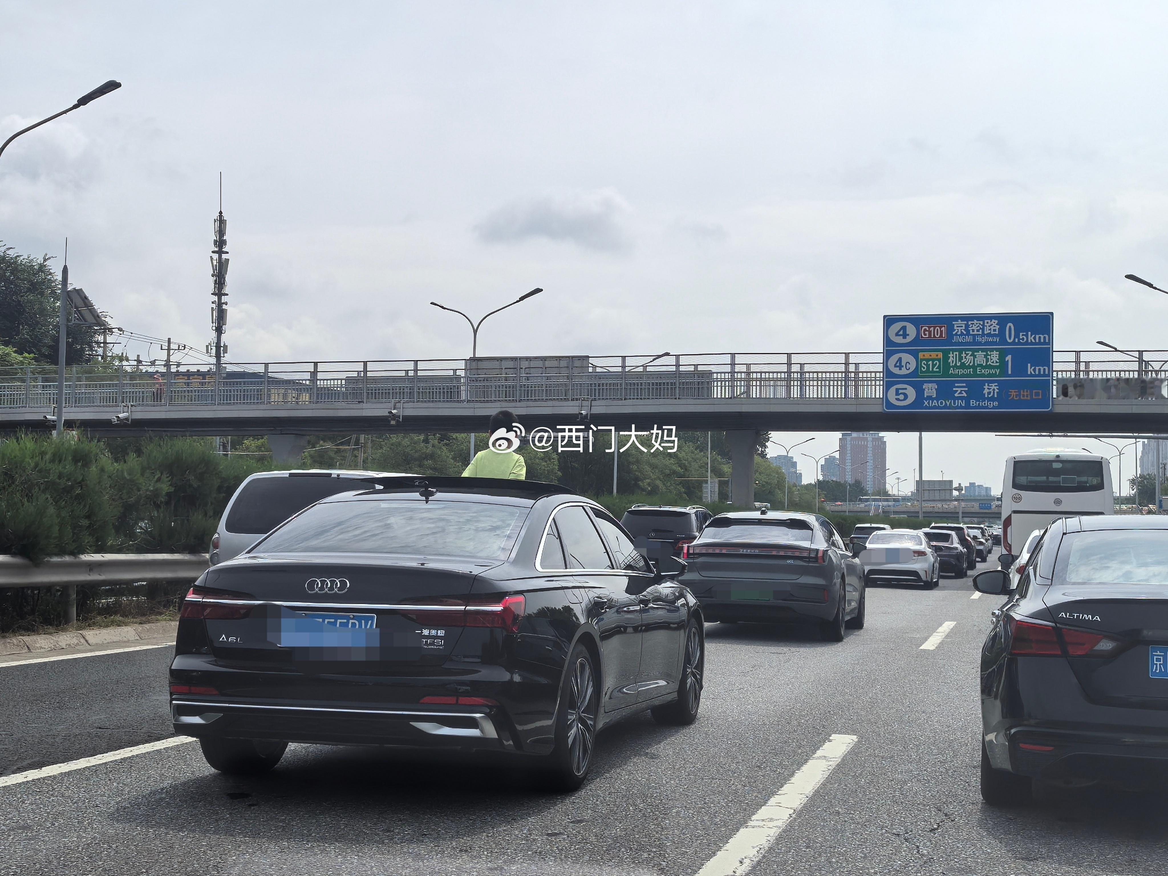 大贤至圣先师达尔文显灵吧… ​​​
