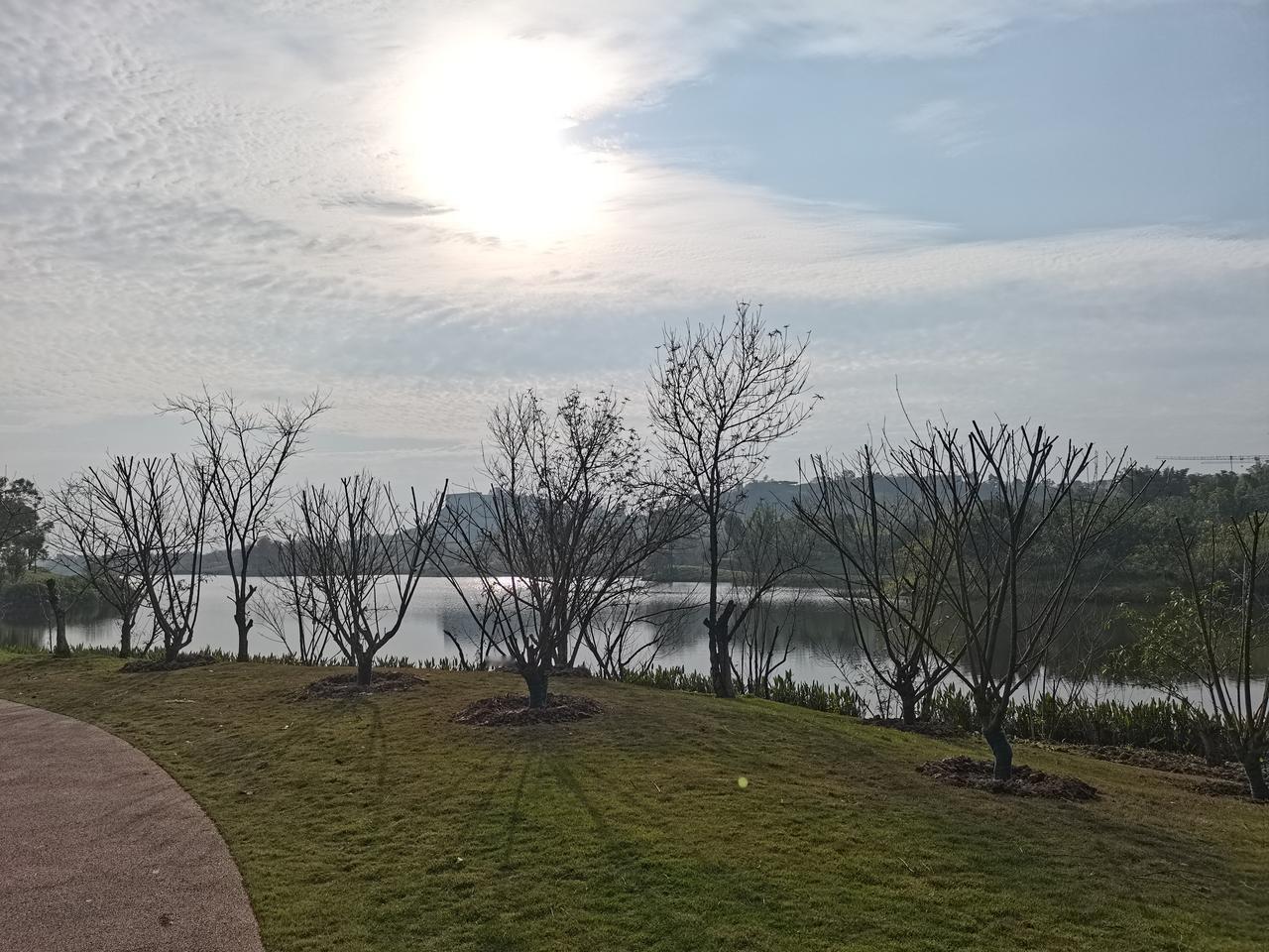 周五ETF资金大幅净申购，每次暴跌都是新旧筹码的大幅交换。

1、前期热点的筹码