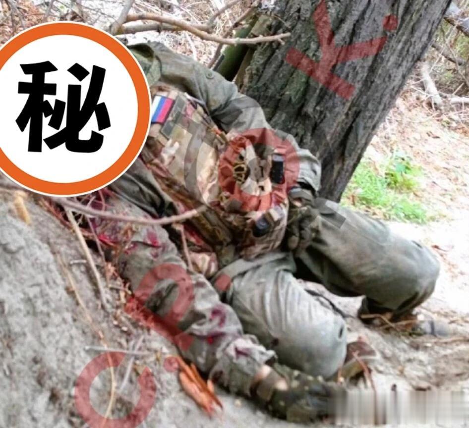 俄军突击部队排长伊戈尔·梅什科夫中尉今日遭到乌克兰游击队伏击被“去军事化”，其随