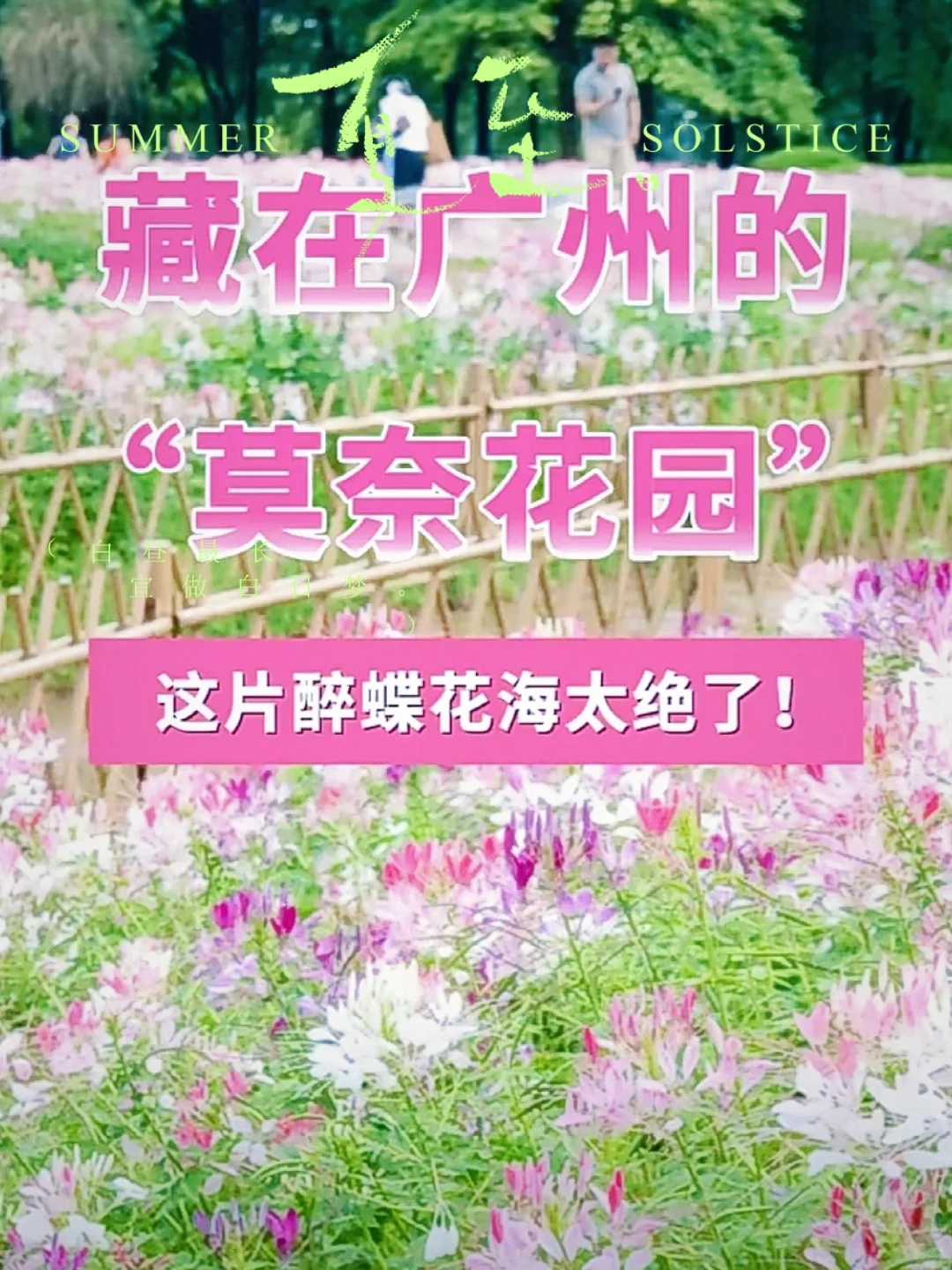 广州醉美莫奈花园，蝴蝶花海等你来探秘！