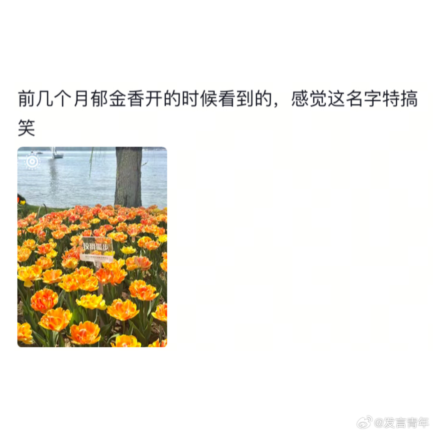 当科学家意识到起名自由度很高时