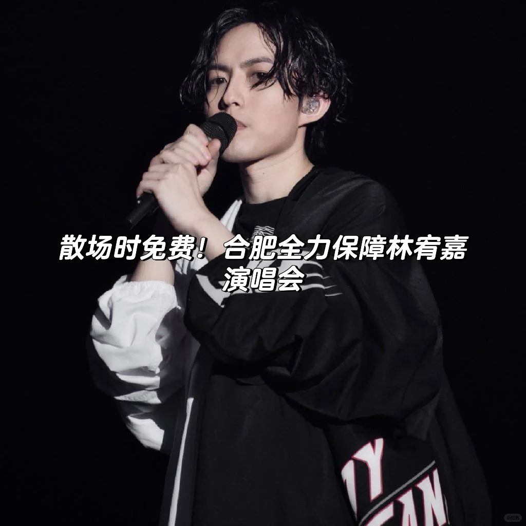 散场时免费！合肥全力保障林宥嘉演唱会