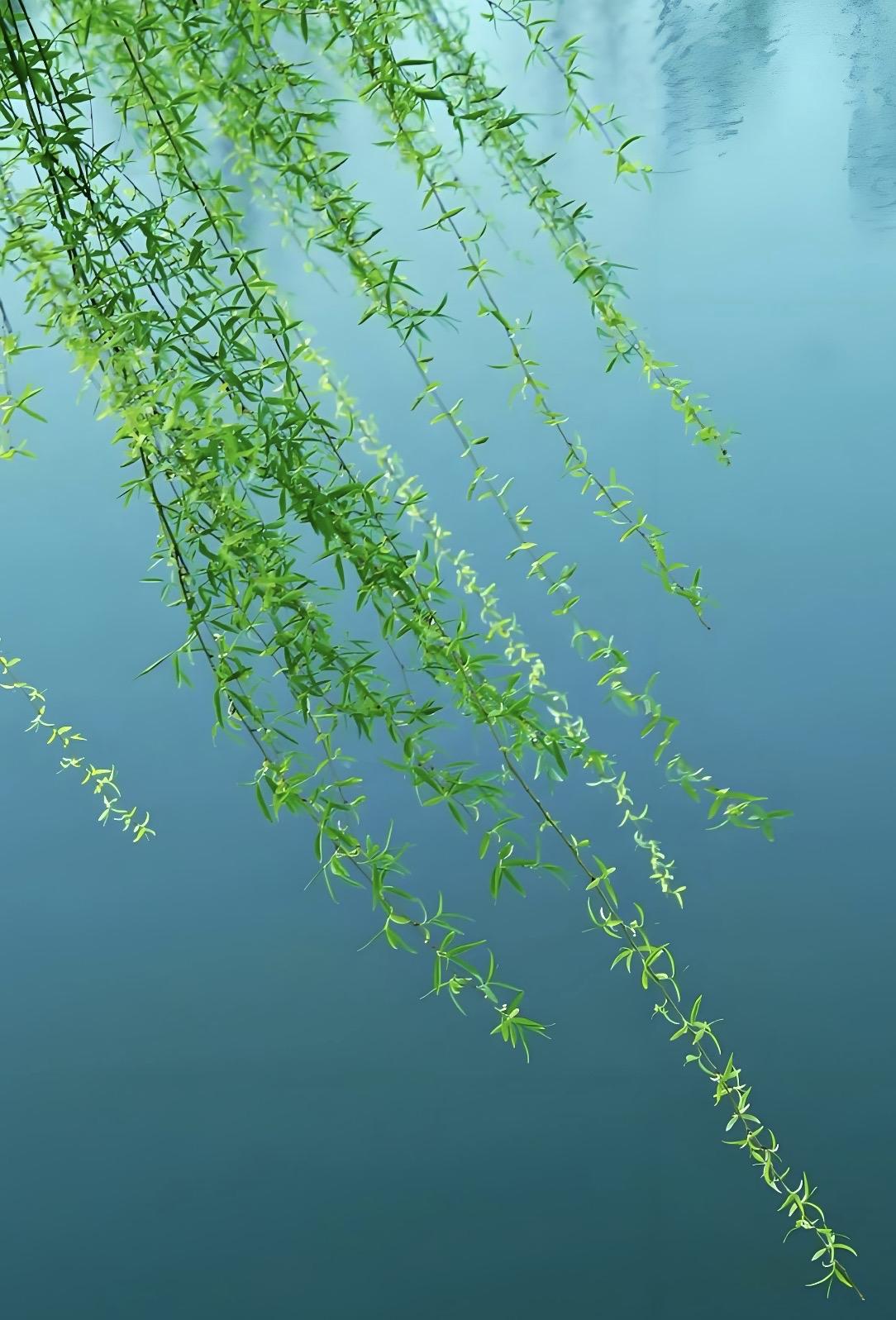 下联：柳绿醉清风，求上联我对的上联是，桃红迷细雨。