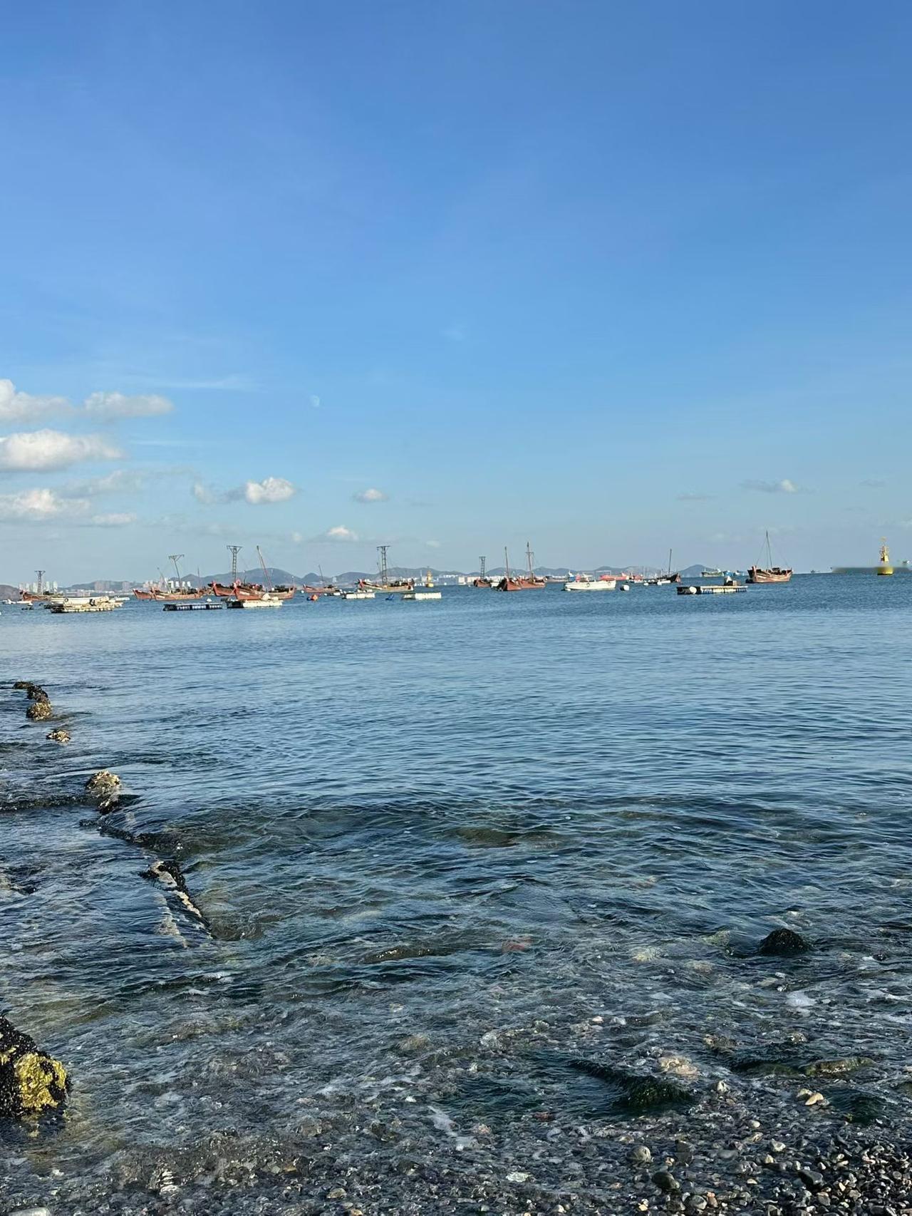 今天早上我开车，从中山区去到甘井子区办事，顺便到梭鱼湾看看，毕竟在这里生活了 2