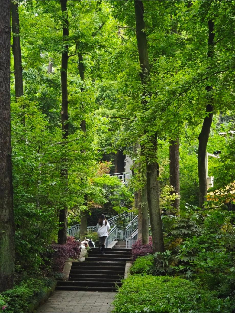 我终于开始享受属于自己的大学生活
 
曾经的我，总被困在大学的固有枷锁里。误以为