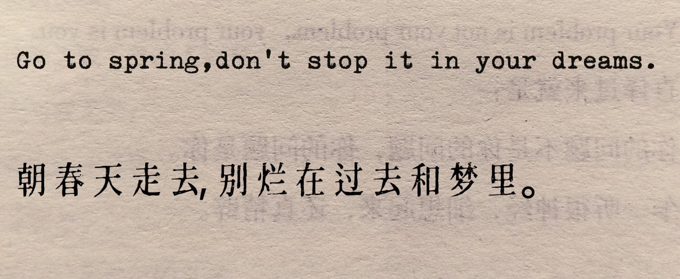 Go to spring,don't stop it in your dream
