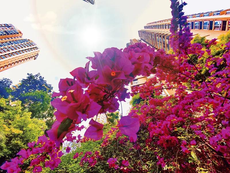 上联：送走一穷二白，诚邀下联迎来万紫千红