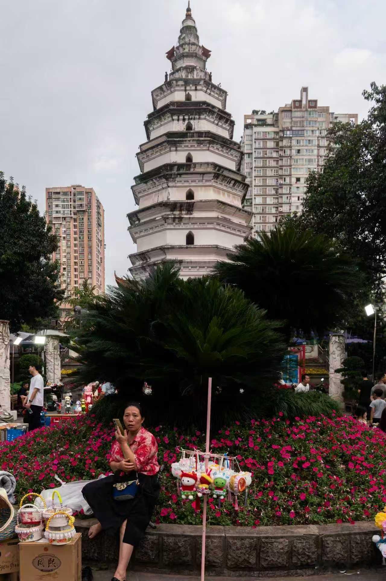 江阳里来走一走