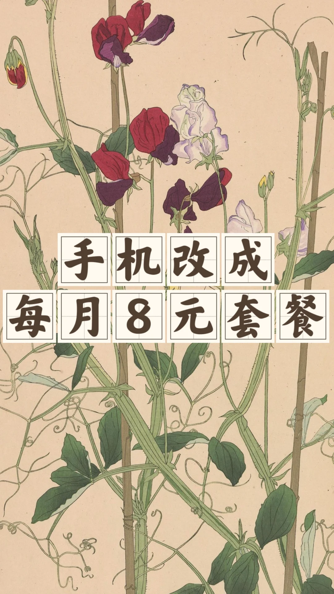 省钱经674:不用移动流量，单位公寓用无线网