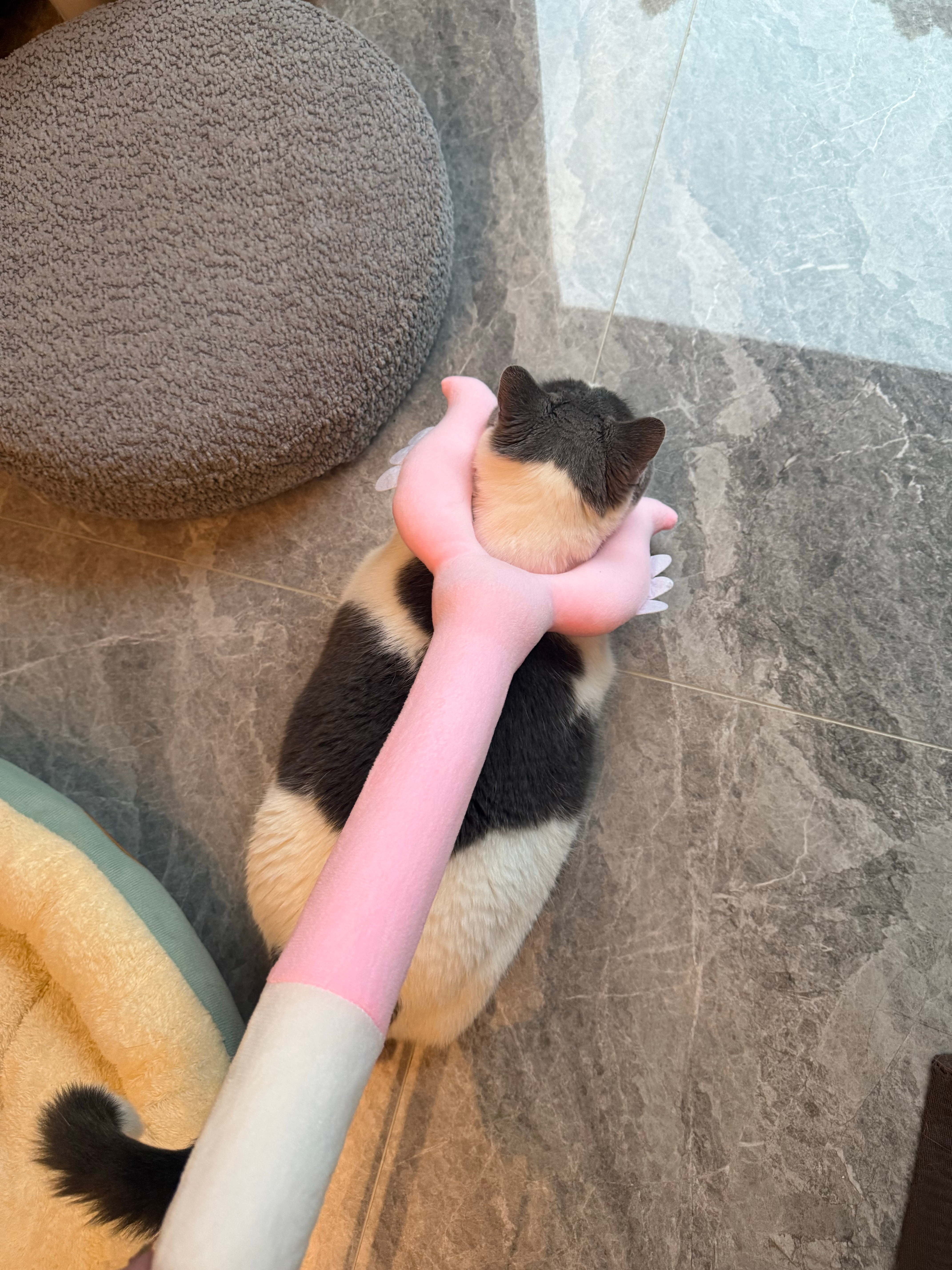 嗯嗯制裁之 