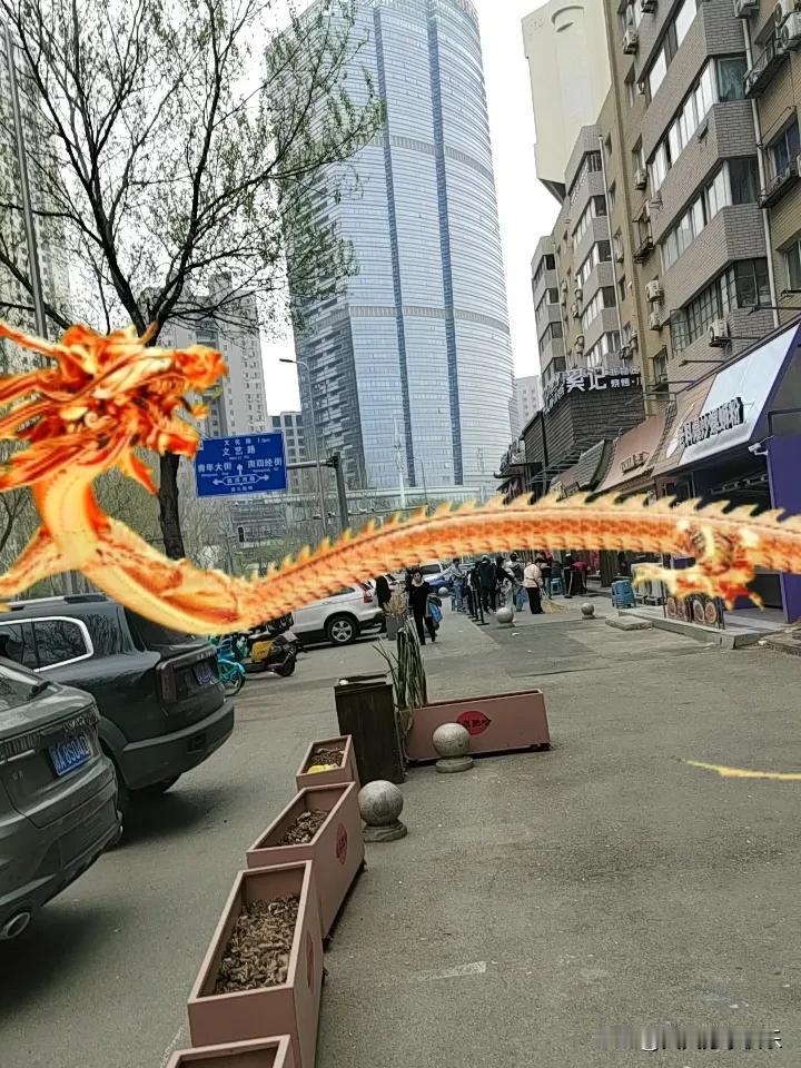 春日生活打卡季