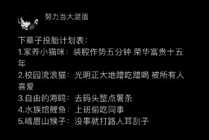 <img src=