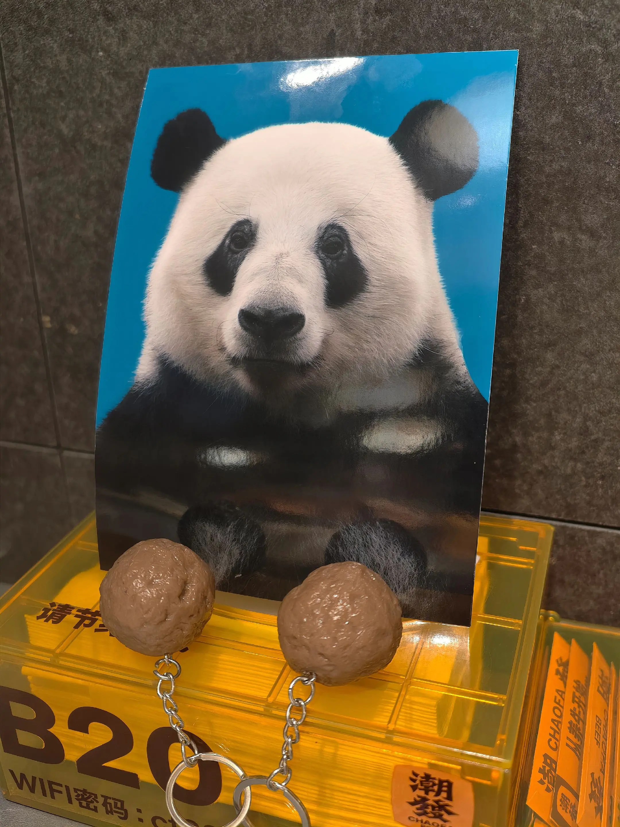 生日快乐啊，星一，食粒牛肉丸贺下距！