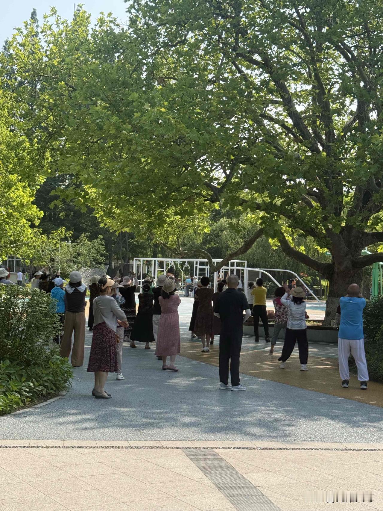 真心话茶局昨天周六是我去青岛中山公园打卡日，我从小西湖门进公园的，湖边的风景尽收