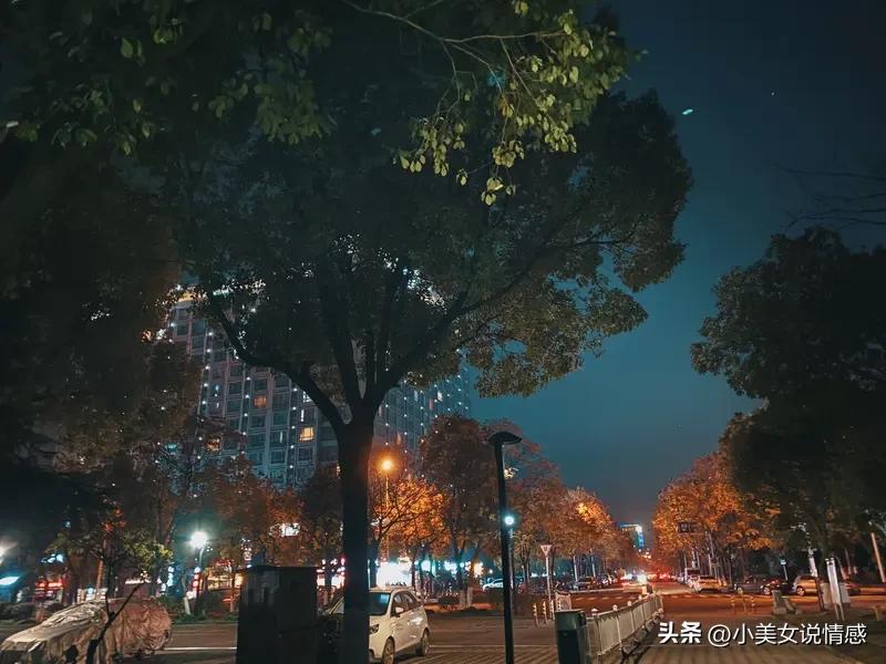 退休之后总喜欢饭后出门走走，不像以前上班，每天忙得脚不沾地，根本没心思留意身边的