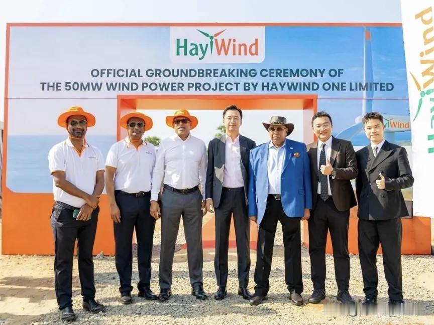 “Saur Energy”网站2月12日报道，中国风电巨头远景能源（Envisi