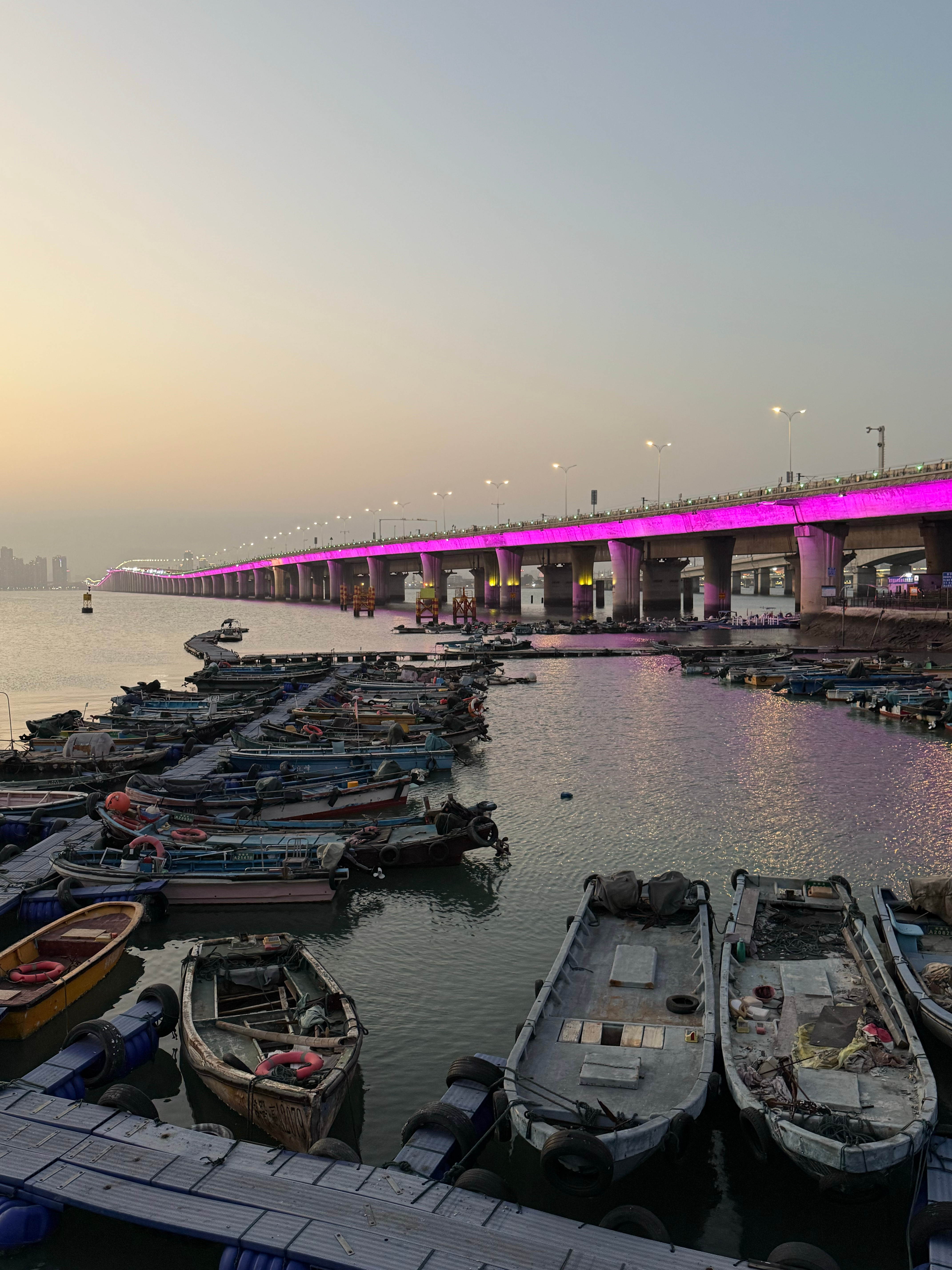 厦门这天气是真的舒服啊 