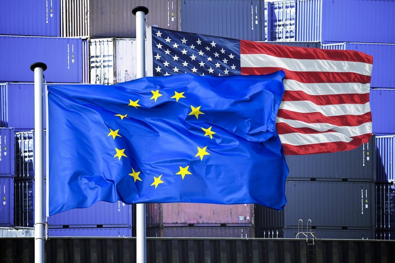 最新动态显示，法国士兵已率先登岛，荷兰派出海军军官，德国、瑞典等国也在跟进。关键