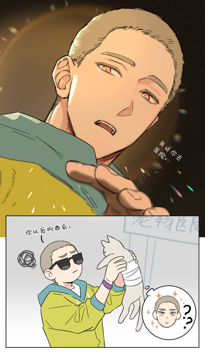 捡了东西的狼猫猫视角的好大儿漫画作者：麻尾 