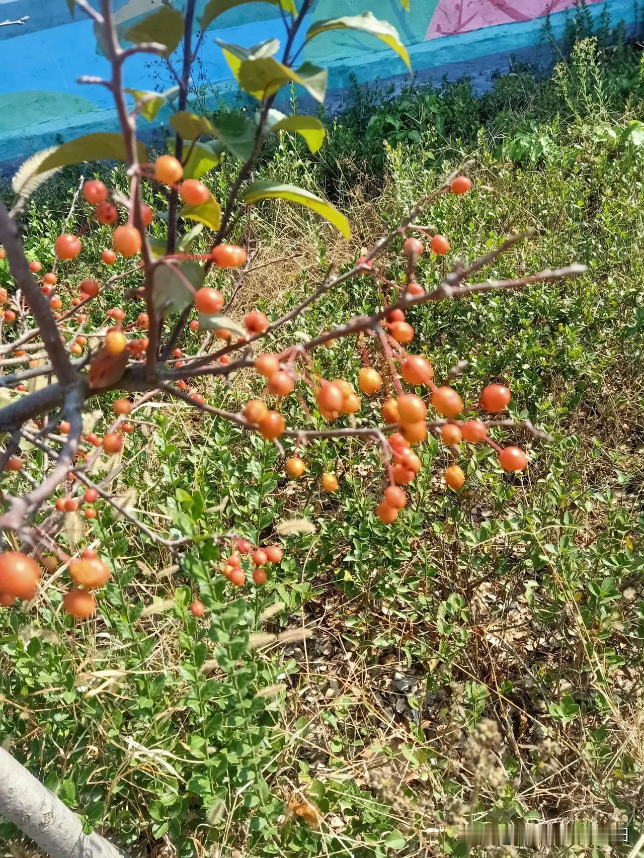 晒图笔记大赛硕果累累，收获满满！