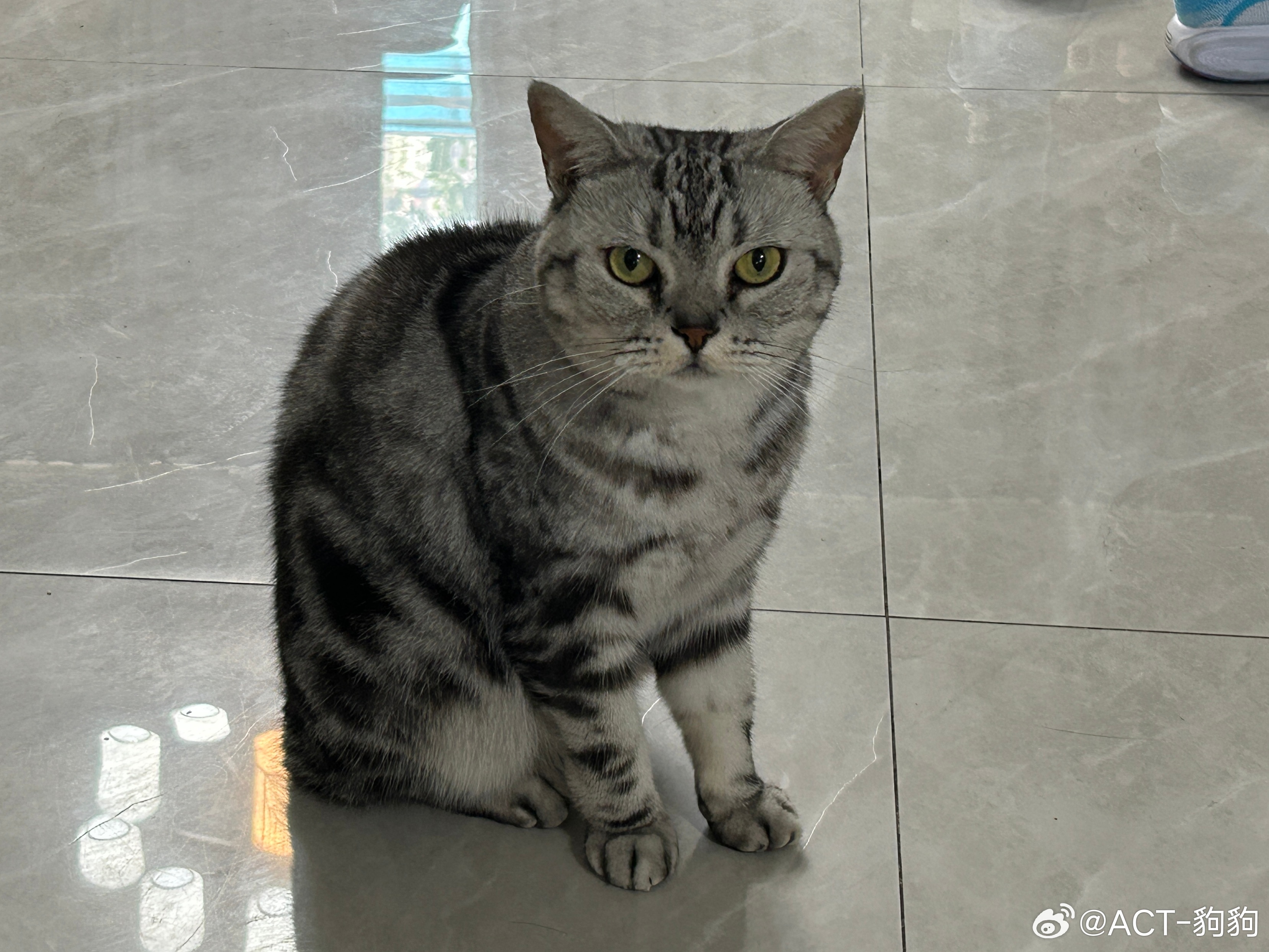 盖亚巡视中👀豿豿