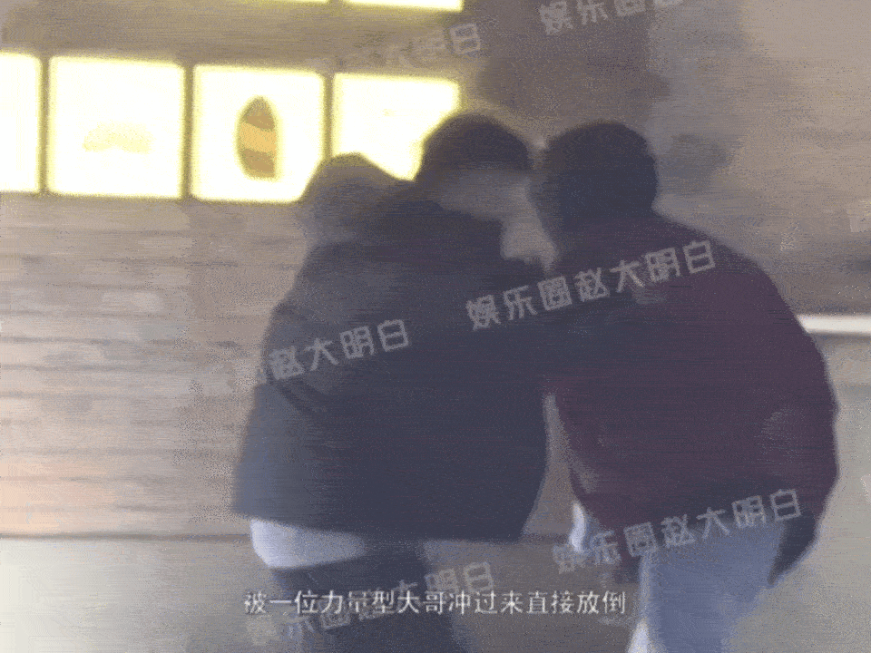 我们家雪地战斗力一览：胜率100%和0%也很和谐☺️ ​​​