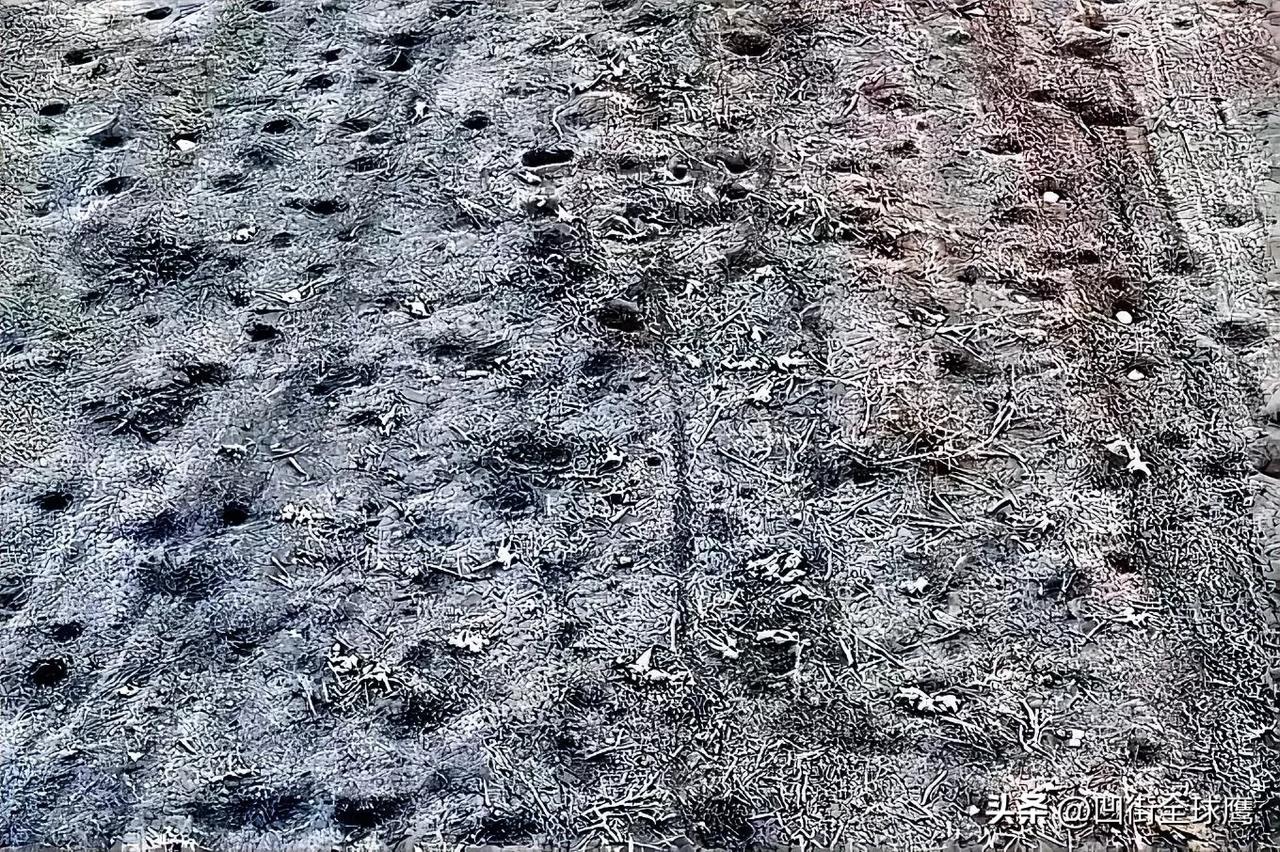 现在的俄乌战争就是拼消耗，看了今天俄方的战报，摧毁乌军835人，总人数未知。乌方