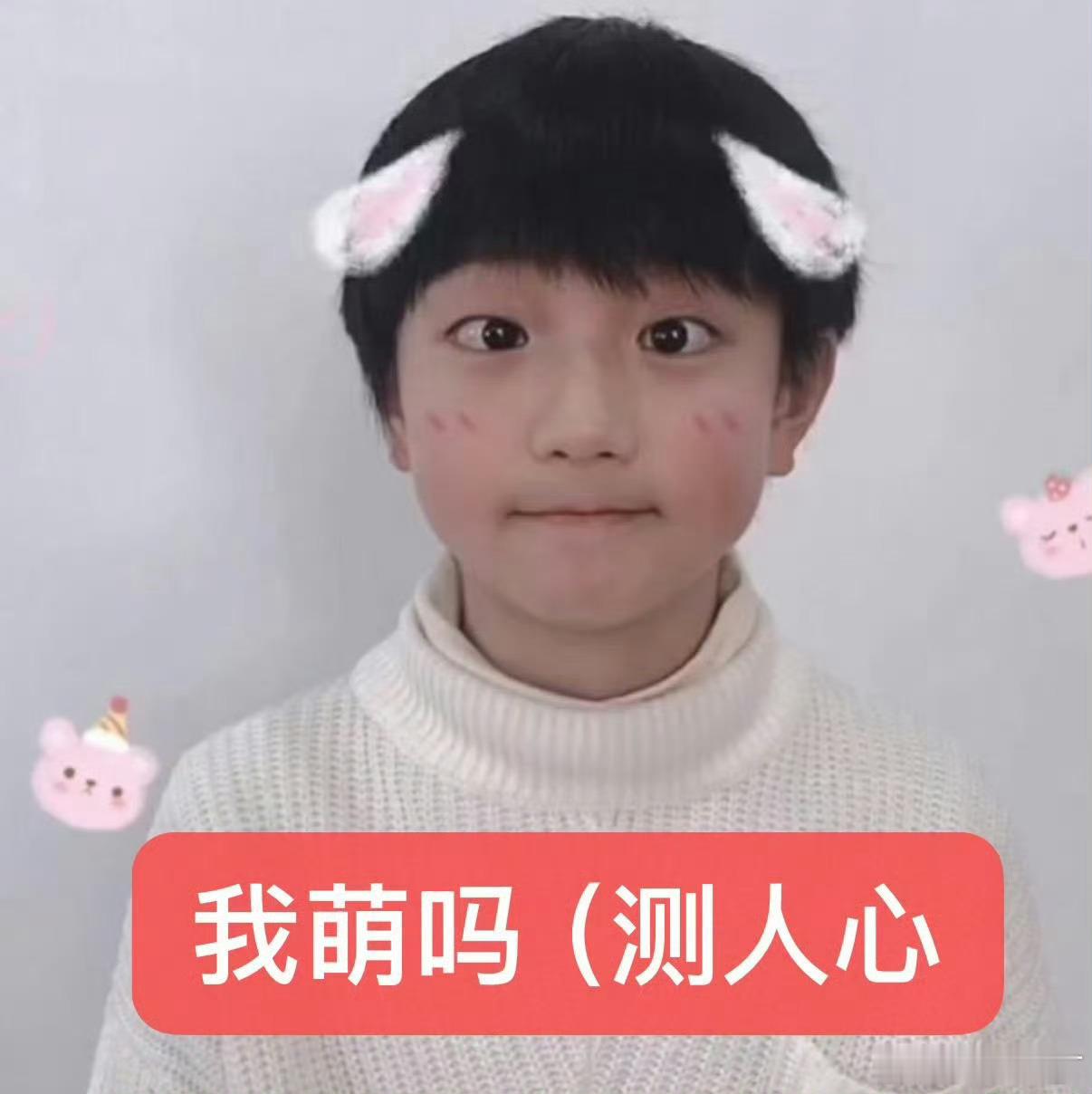 刷到动动 