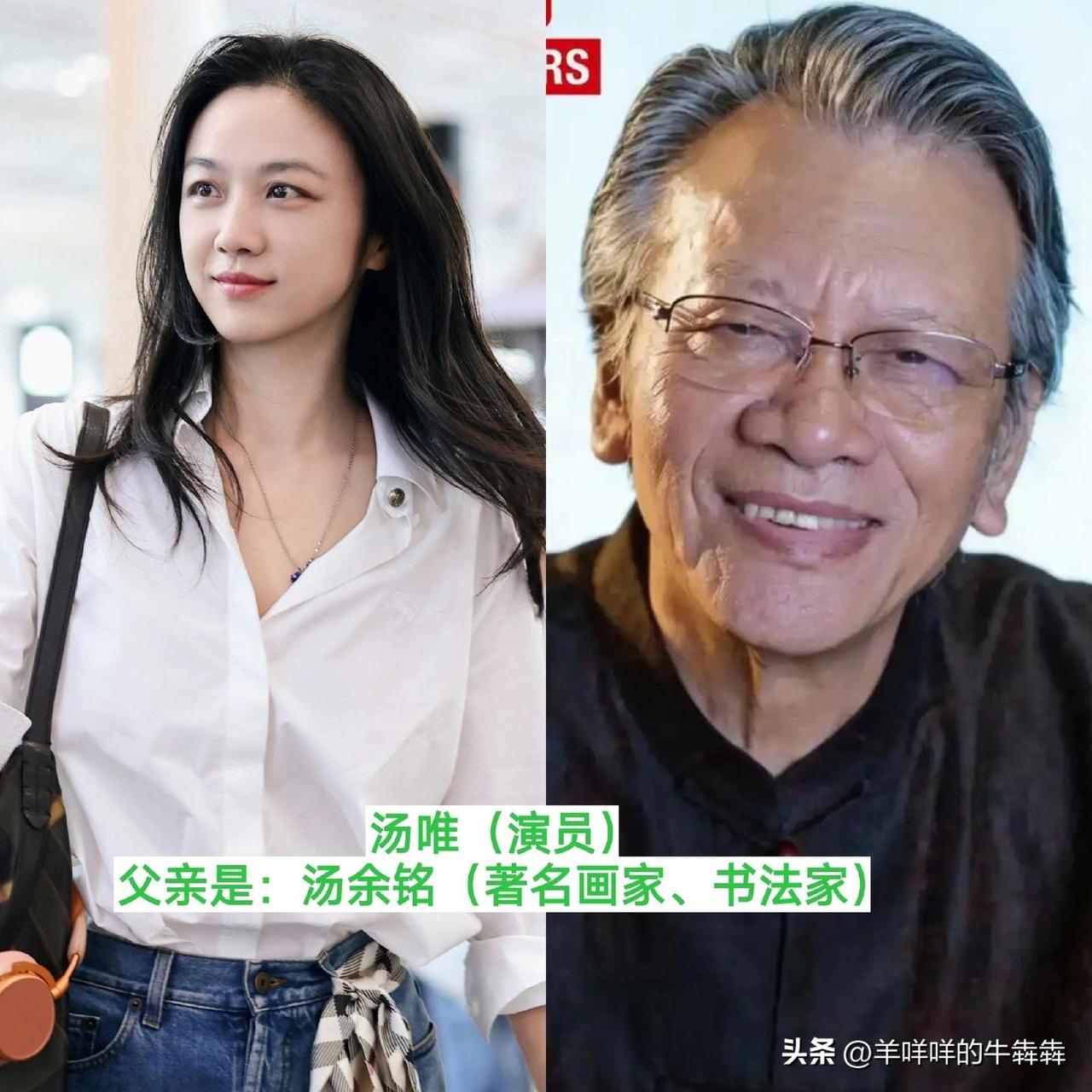 刘亦菲、姚安娜、汤唯这些常出现在荧幕上的熟面孔，家世背景远比大家想象中深厚，却没