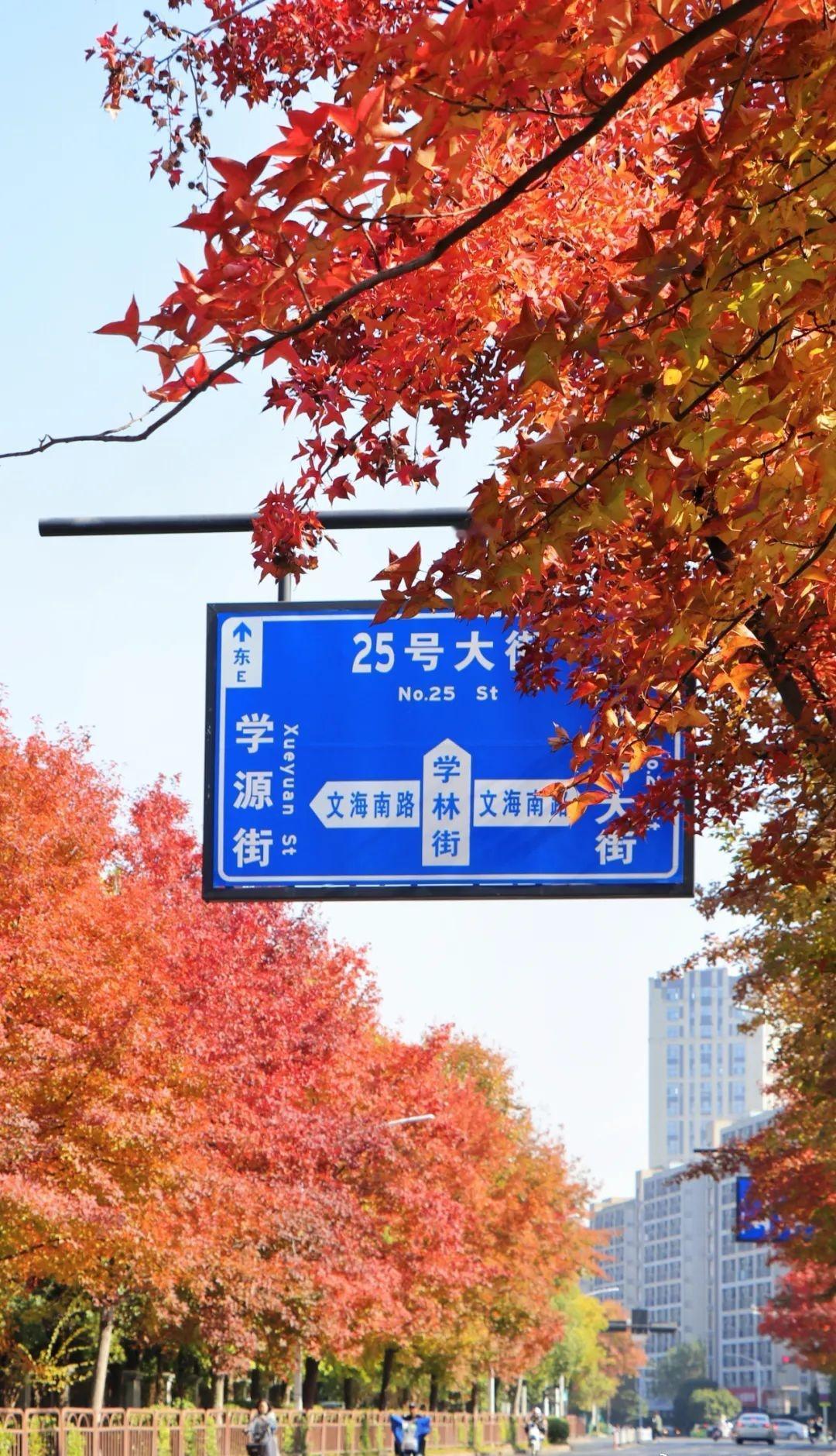 水韵悠长，薪火相传。
七十二载，浙江水院扎根江南沃土，
以水利为骨，以人文为魂。