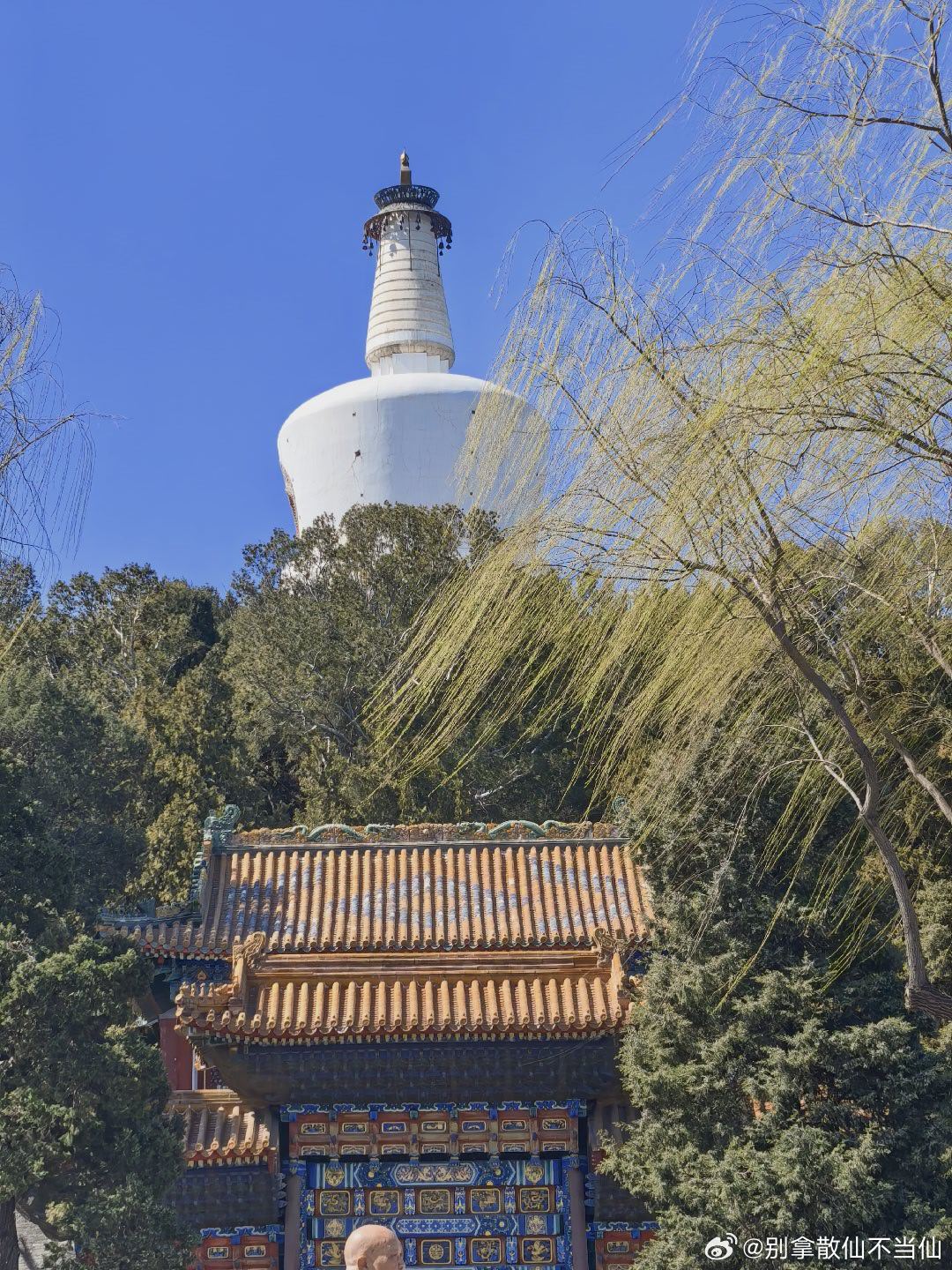 蓝天、白塔、绿柳、桃花，三月十八号摄于北海公园。  摄影